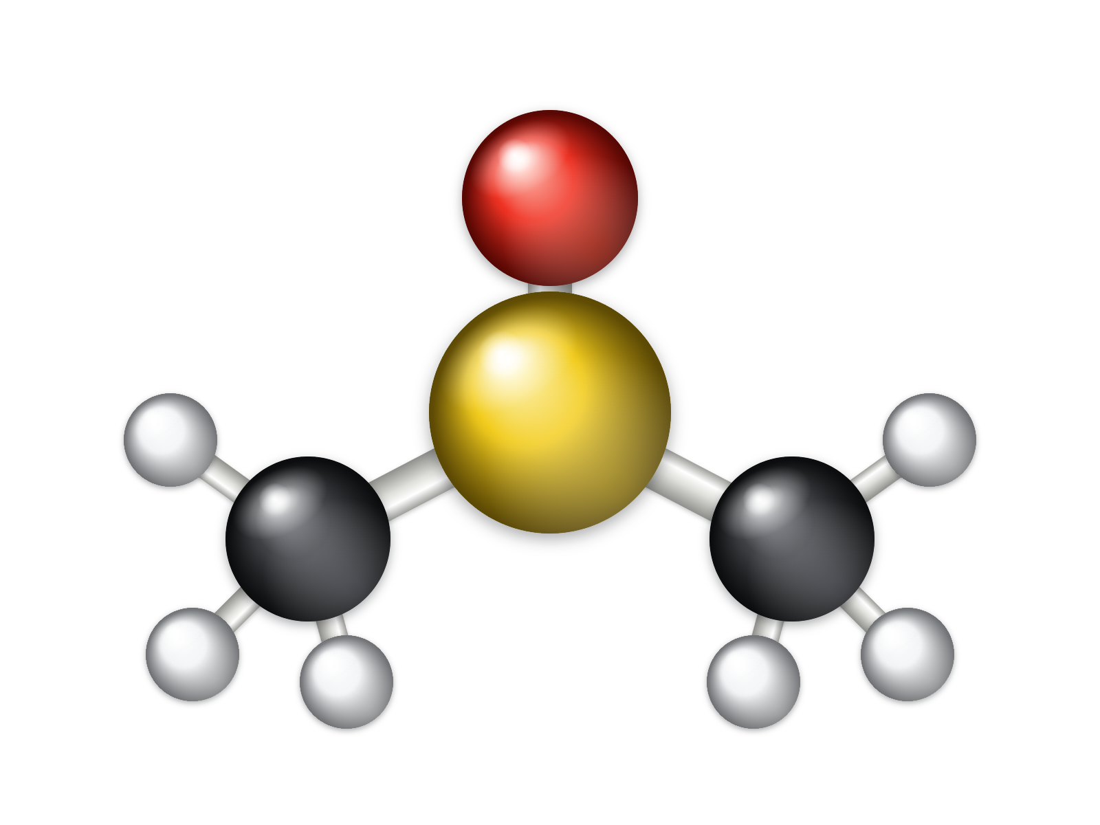 DMSO molecule